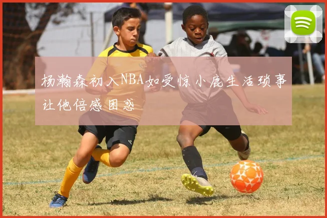 杨瀚森初入NBA如受惊小鹿生活琐事让他倍感困惑